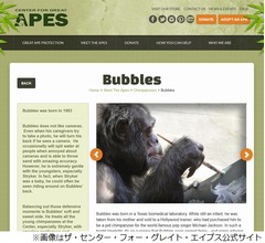 マイケル元ペット&ldquo;バブルスくん&rdquo;の絵が競売に