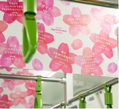 山手線全11両が&ldquo;夢の桜&rdquo;でいっぱいに、たくさんの夢と出会える「Dreamトレイン」走る
