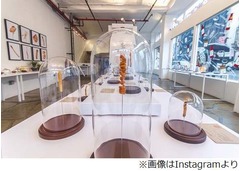 フライドポテト名店集う展覧会、米ニューヨークの80店舗が一堂に。