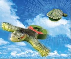 衝撃「あいつ亀やめるってよ」、バンダイが斬新なカプセル商品投入。