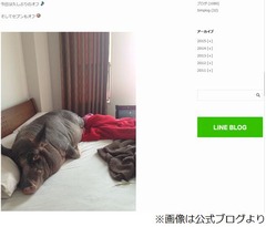 &ldquo;愛豚家&rdquo;前園は豚肉抵抗なし、食べられる？ に「ガンガン食べます」。