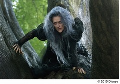 &ldquo;メリルと共演&rdquo;緊張でガチガチ、「イントゥ・ザ・ウッズ」秘話。