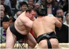 安青錦、奇襲に動じず＝英気養い、地に足つけて―大相撲春場所