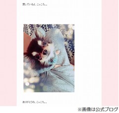 釈由美子「耐えられない事」「筆舌に尽くしがたい悲しみ」は愛犬の死。