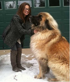 【写真】巨大わんこ&ldquo;レオンベルガー&rdquo;、女性と戯れる写真が話題に。