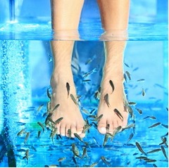 &ldquo;ドクターフィッシュ&rdquo;に警鐘、尿道突入事例が英会議で話題に。