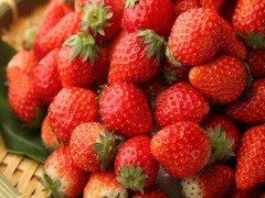 食べ放題でいちごの食べ比べ、上野の「大地の贈り物」が期間限定で。