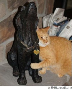 &ldquo;犬の彫像&rdquo;猫がハグする理由、死んだ仲間が帰ってきたと思った？