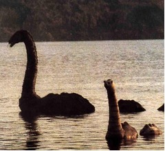 過去50年間で最大規模の&ldquo;ネッシー探索&rdquo;が失敗