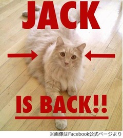 8月に米空港で姿消した猫発見、飼い主のFacebookでの活動が実を結ぶ。