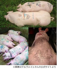 「豚にタトゥー」が再び話題に、欧州では禁止のため中国で&ldquo;作品&rdquo;制作。