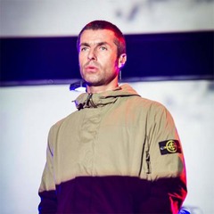 リアム隠し子の養育費支払難航、元妻との離婚調停複雑化が要因。