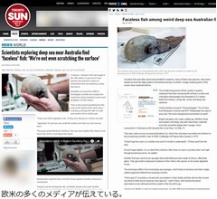 &ldquo;顔のない魚&rdquo;発見され騒然、過去に1度記録