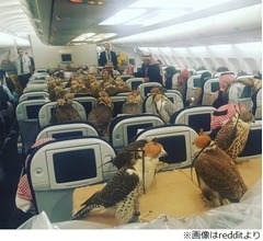 飛行機に乗った&ldquo;珍客&rdquo;が話題に