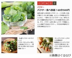 60分500円でパクチー食べ放題、新宿にパクチー狂歓喜のアジア料理店。