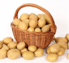 火星への移住者、&ldquo;ジャガイモハウス&rdquo;で生活するかも？