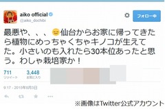 aikoの自宅にキノコ大量発生「最悪や、、、わしゃ栽培家か！」。