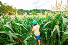 &ldquo;迷路の数が日本最多&rdquo;の施設、8施設13種類の「迷路百貨店」オープン。