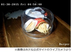 世界が見守る&ldquo;最後のマック&rdquo;、一時は美術館陳列のバーガー＆ポテト。