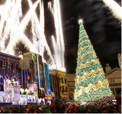 輝き増すUSJの&ldquo;光のツリー&rdquo;、ギネス認定ツリーがさらに美しく。