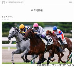 &ldquo;有馬記念の主役&rdquo;ドウデュースが出走取消、引退にあたりオーナが感謝の言葉