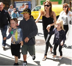 離婚突きつけられたブラピ、共同親権求める