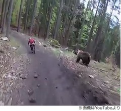 山の中でクマさん追いかけてきた&hellip;恐怖の瞬間