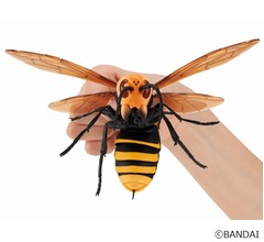 &ldquo;昆虫界最強の蜂&rdquo;が巨大カプセル玩具に