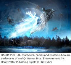 USJ、圧倒的スケールのハリポタナイトショー