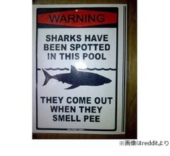 「プールでサメが目撃されました。注意！」