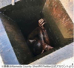 換気扇ダクトから抜けられなかった男性、2日後に救出