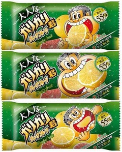 &ldquo;大人な女性&rdquo;向けガリガリ君、ジェラートのような味わいと果汁感。