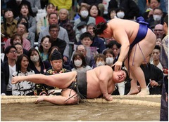 敗れた伯乃富士