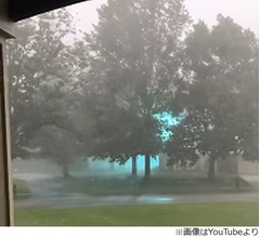 庭を移動する謎の青い光、いったいこれは&hellip;