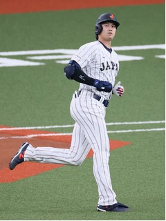 左飛に倒れた大谷　野球