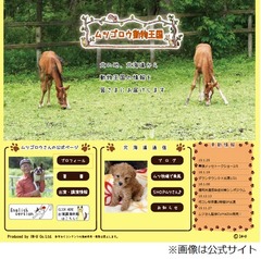 畑正憲&ldquo;動物愛が消えた&rdquo;否定「ここで嫌いになったらバカですよ」。