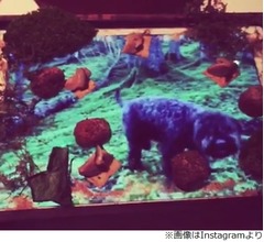 iPadを&ldquo;お皿&rdquo;にする三つ星レストラン