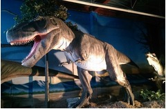 店内が恐竜だらけのレストラン、&ldquo;原寸大ティラノ&rdquo;などロボット20体。