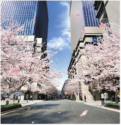 SMAPが日本橋街づくりに共感、52ndシングルがプロジェクトソングに。