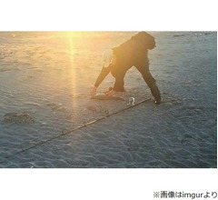 &ldquo;砂浜で釣りするゴリラ&rdquo;が話題に
