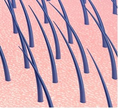 足に激痛、歩行困難の原因は&ldquo;1本の&hellip;&rdquo;