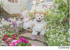 ダッフィーのウェアに新作登場、ウェディングシーンにぴったり。