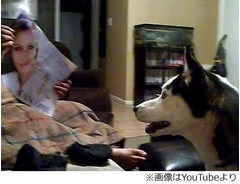 ジュリア・ロバーツ怖がる犬、写真を見せると後ずさりしながら逃走。