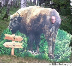 なぜそこに穴&hellip;海外の&ldquo;顔ハメ看板&rdquo;が話題に