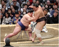 藤青雲の押し出し