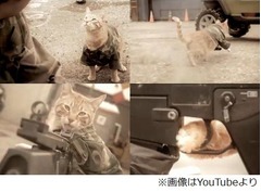 &ldquo;猫兵士&rdquo;が敵を倒し味方救助、ゲームの世界再現するクリエイター最新作。