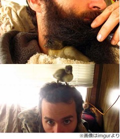 あごひげの下でアヒル育てる、モッサモサ&ldquo;定位置&rdquo;に隠れると安心。