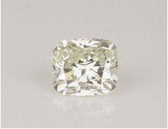 散歩中ダイヤ掘り当てたわんこ、突然走り出し生け垣の下から発見。