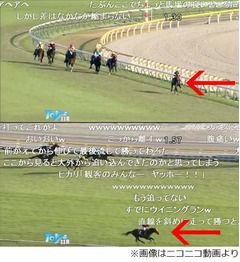 大逃げ&rarr;直線暴走Vの馬に騒然、デビューから5戦5勝のエイシンヒカリ。