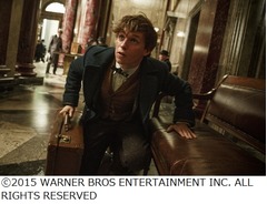 ハリポタ新シリーズの最新予告、魔法のトランク内に潜む魔法動物が&hellip;。